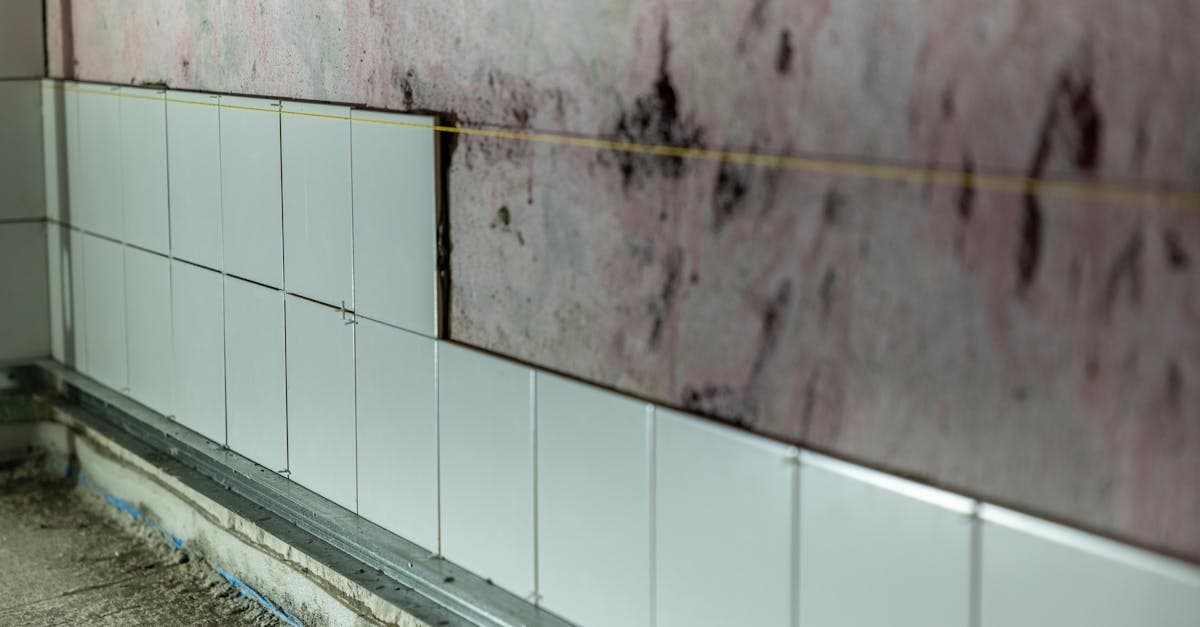 Cover Image for When Your Homeowners Policy Pays for Mold Remediation