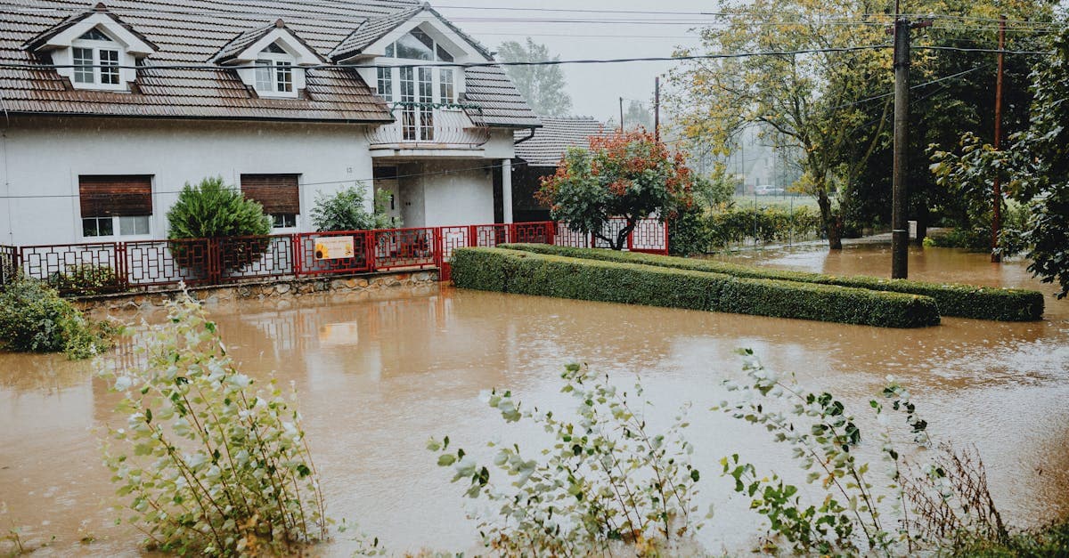 Cover Image for Flood Damage vs Water Damage: Why Your Homeowners Policy Treats Them Differently