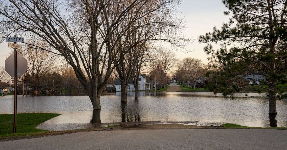 Cover Image for The National Flood Insurance Program: How NFIP Works for Homeowners