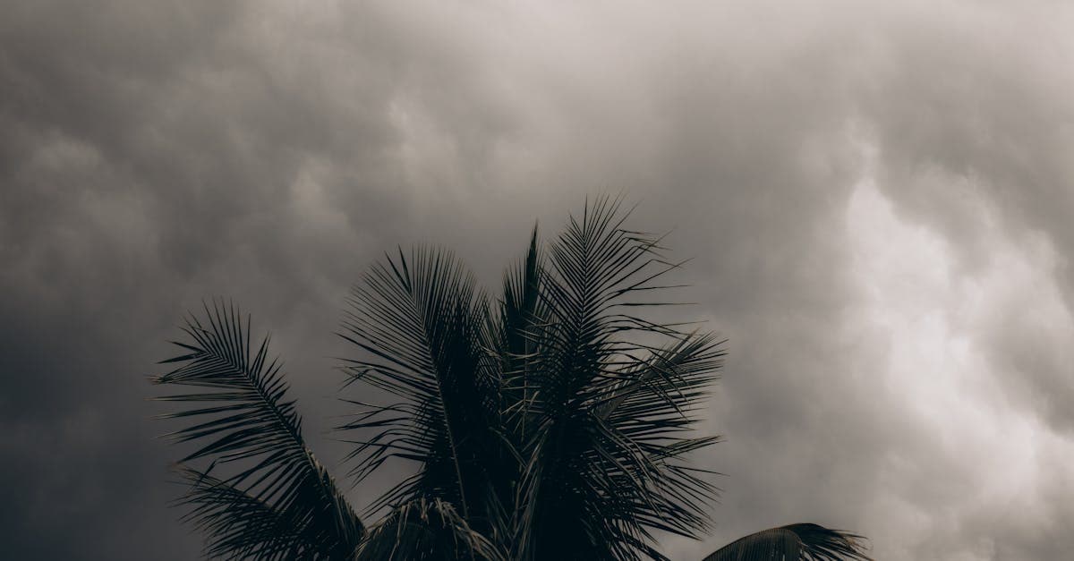 Can Your Hurricane Deductible Hit You Twice in One Season?