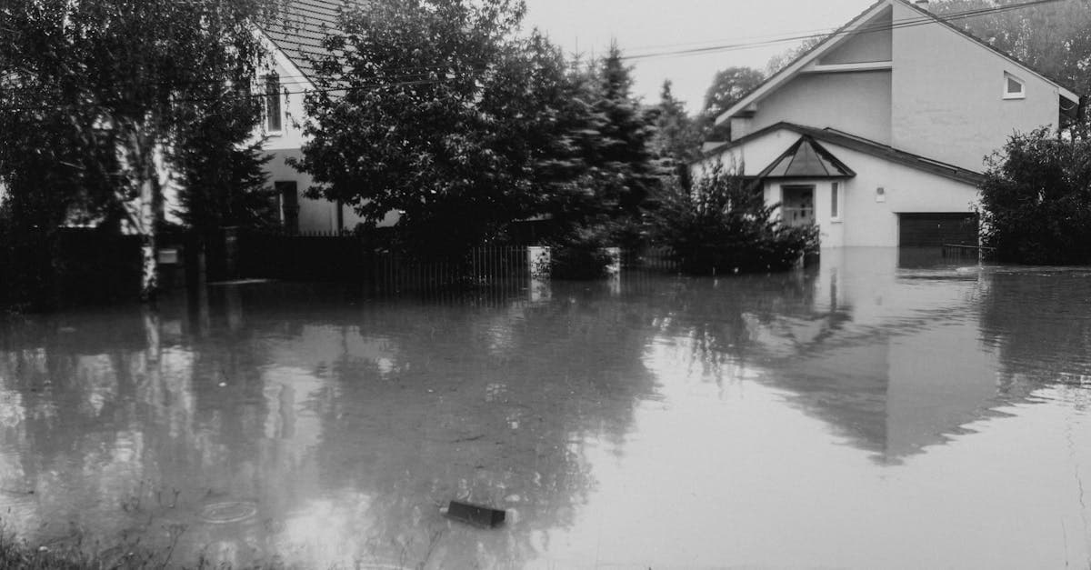Flood Insurance Outside High-Risk Zones: The Numbers That Change Minds
