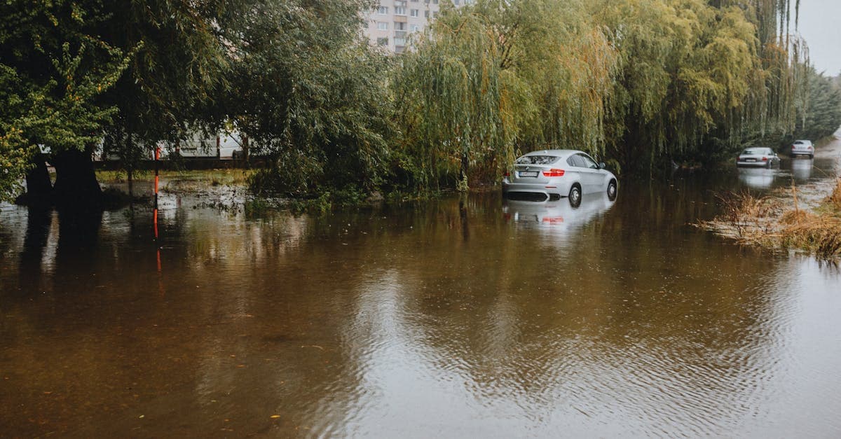 What Your Condo Association's Flood Policy Does and Does Not Cover